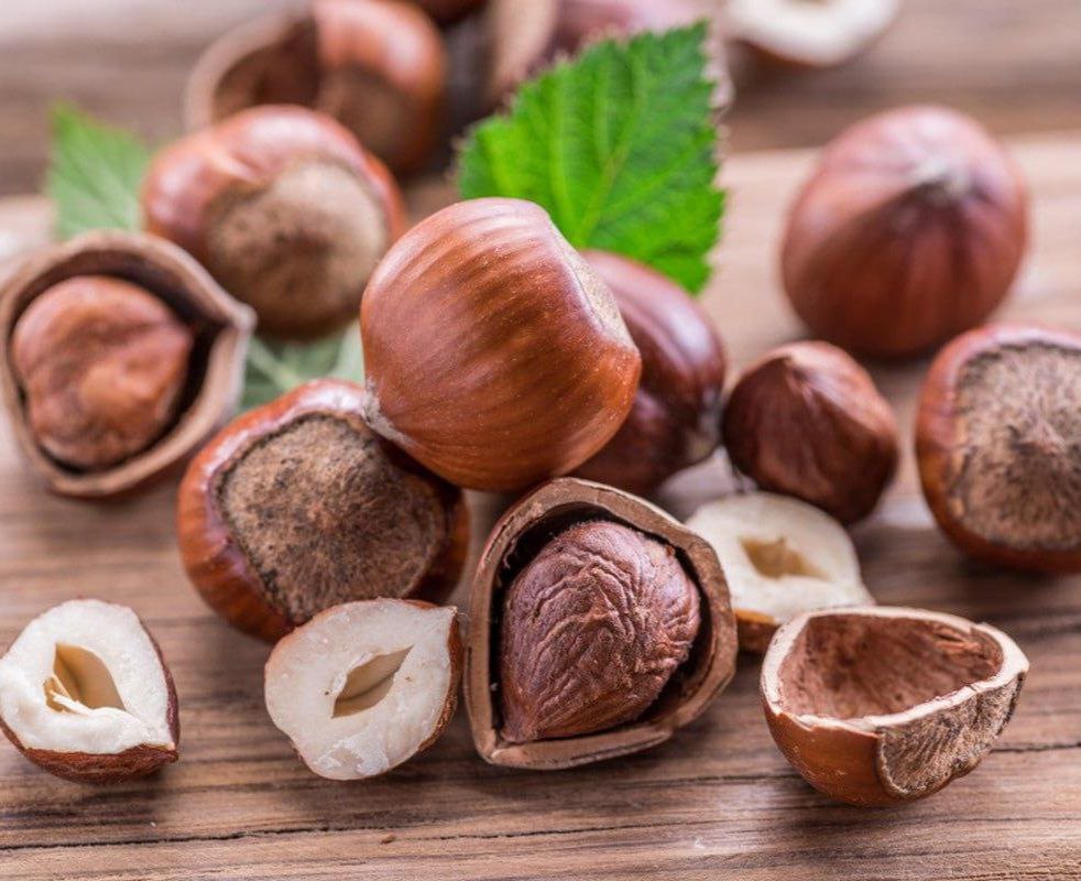 Jedite lješnjake češće